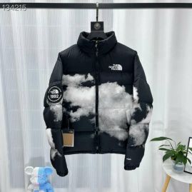 Picture of The North Face Down Jackets _SKUTheNorthFaceS-XXLzyn499526